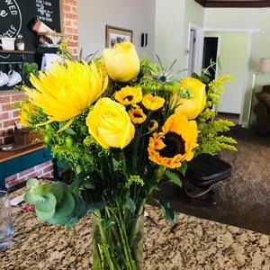 Meet your Posher, Susan